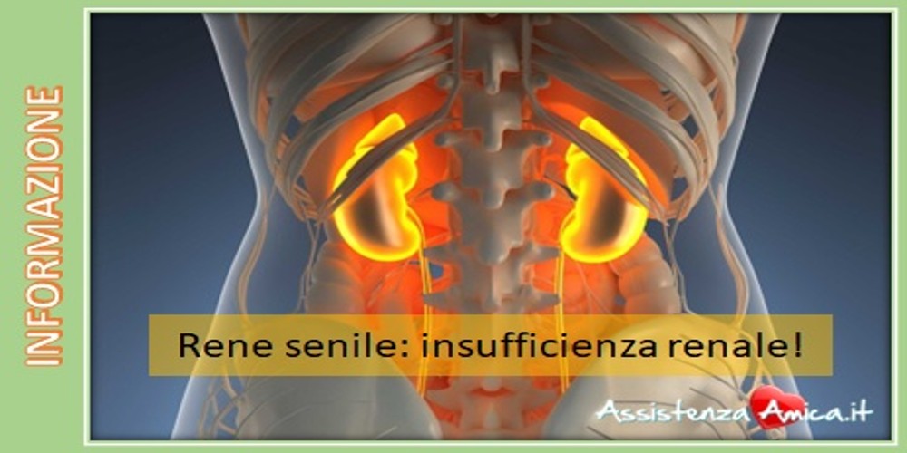 Rene senile: insufficienza renale nell’anziano!